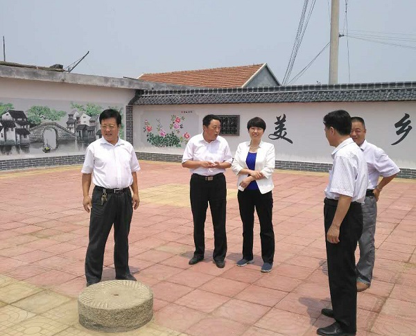 费县人民医院院长王传梅到"第一书记"任职村现场办公